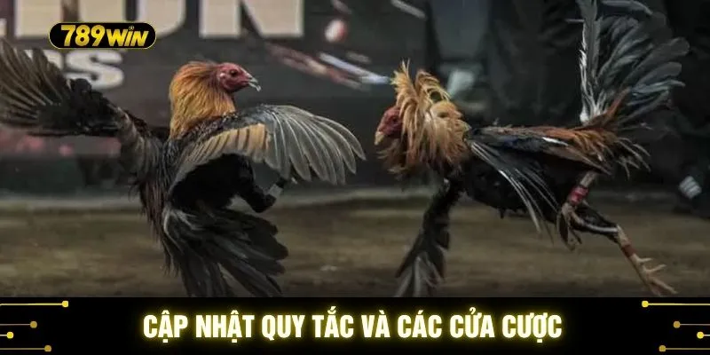 Kiến Thức Cá Cược Gà 789WIN - Quy Tắc Vàng Giúp Bạn Soi Kèo 3 Cập nhật quy tắc và các cửa cược