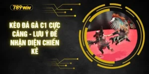 Kèo Đá Gà C1 Cực Căng - Lưu Ý Để Nhận Diện Chiến Kê