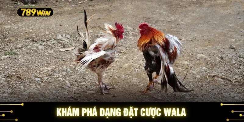 Kèo Đá Gà C1 Cực Căng - Lưu Ý Để Nhận Diện Chiến Kê 3 Khám phá dạng đặt cược Wala