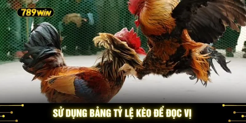 Kiến Thức Cá Cược Gà 789WIN - Quy Tắc Vàng Giúp Bạn Soi Kèo 4 Sử dụng bảng tỷ lệ kèo để đọc vị
