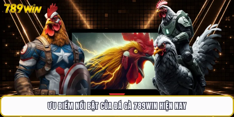 Ưu điểm nổi bật của đá gà 789WIN hiện nay